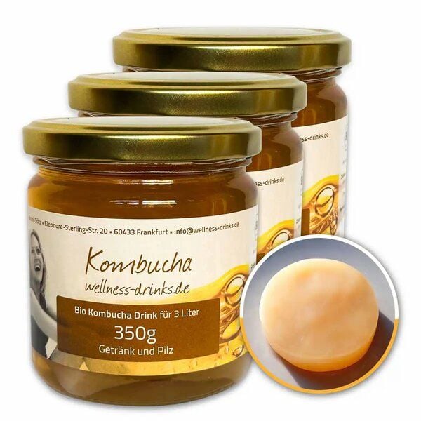 Wellness-Drinks Bio Kombucha Drink mit Teepilz (groß) von Wellness-Drinks
