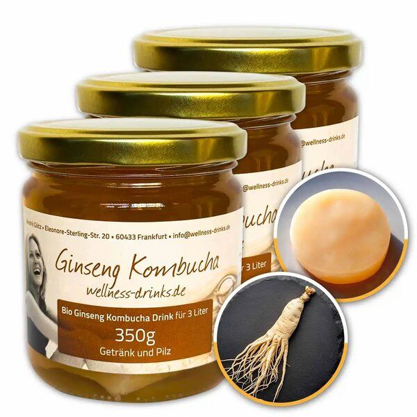 Wellness-Drinks Ginseng Kombucha Drink mit Teepilz (groß) von Wellness-Drinks