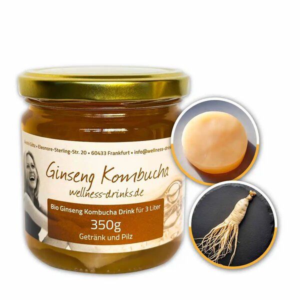 Wellness-Drinks Ginseng Kombucha Drink mit Teepilz (mittel) von Wellness-Drinks