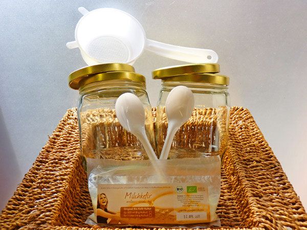 Wellness-Drinks Kefir - Komplettpaket für 1 Liter: Bio Milchkefir mit Zubehör von Wellness-Drinks