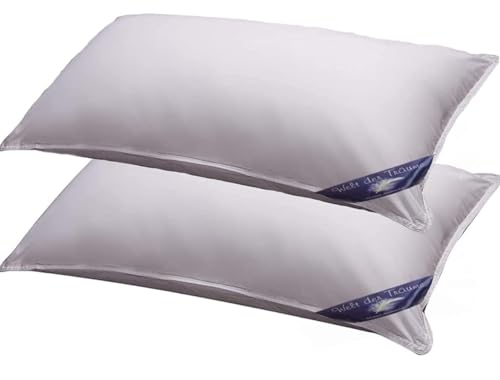 Welt-der-Träume 2 STÜCK (Set) Kissen 40X80 Kopfkissen DAUNEN Federn 100% Natur Pur Dekokissen Füllung 750 Gr. von Welt der Träume