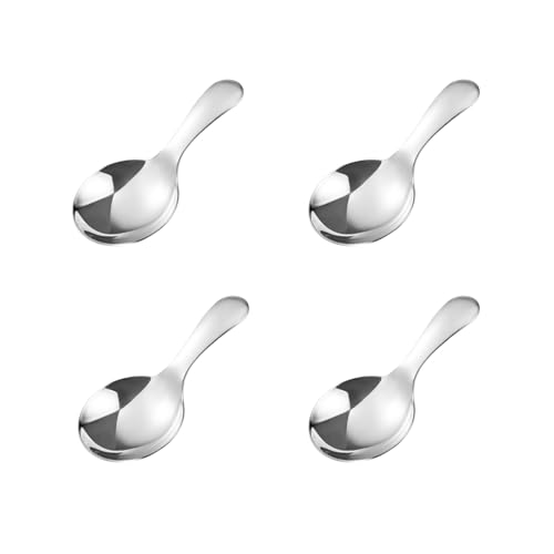 Mini-Löffel für Behälter, Edelstahl, kurzer Griff, Salzlöffel, Gewürzlöffel, Dessertlöffel, Mini-Süßigkeitenschaufeln (silberfarben), 4 Stück von WenTigDY