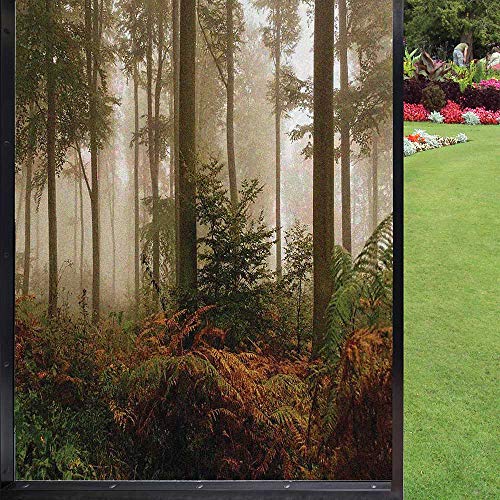 Forest Fensterfolie Fensterfolie Privatsphäre Mystic Dark Fog Atmosphäre Deep in The Forest Nobody Silence Bild Fensterfolie Sichtschutz Tönung für Badezimmer Büro Wohnzimmer Braun Orange Grün 61 x 91,4 cm Forest Fensterfolie Fensterfolie Privatsphäre Mystic Dark Fog Atmosphäre Deep in The Forest Nobody Silence Bild Fensterfolie Sichtschutz Tönung für Badezimmer Büro Wohnzimmer Braun Orange Grün 61 x 91,4 cm von Wendaoblt