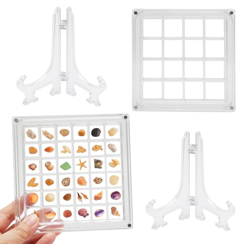 2 Stück Muschel Display Box Acrylic Magnetic Seashell Display Box Klare Muschel Aufbewahrungsbox Transparente Seashell Storage Box für Nagelbohrer Schmuck Kristall (36 und 16 Fächer) von Weniubit