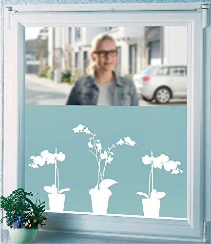 WENKO Sichtschutzfolie, Orchidee Fensterfolie WENKO Sichtschutzfolie, Orchidee Fensterfolie von WENKO