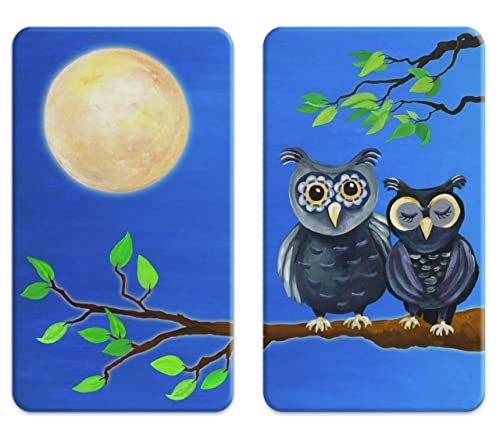 WENKO Herdabdeckplatte Universal Eule, 2er Set Herdabdeckung für alle Herdarten, Gehärtetes Glas, 30 x 52 cm, Mehrfarbig von WENKO