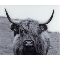 WENKO Küchenrückwand "Highland Cattle" von Wenko