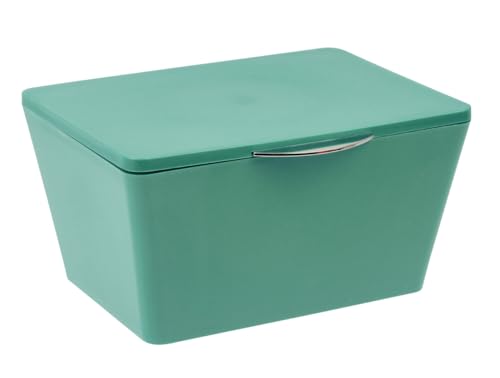 WENKO Aufbewahrungsbox mit Deckel Brasil, mattierter Aufbewahrungskorb für Badezimmer & Gäste-WC, dekorativer Badkorb aus bruchsicherem Kunststoff, BPA-frei, 19 x 10 x 15,5 cm, Grün von WENKO