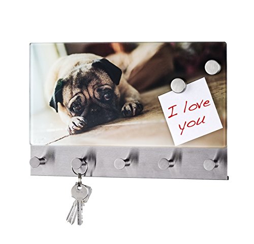 Wenko 50410100 Hakenleiste Pug - 5 Haken, magnetisch, Gehärtetes Glas, 19 x 30 cm, mehrfarbig von WENKO