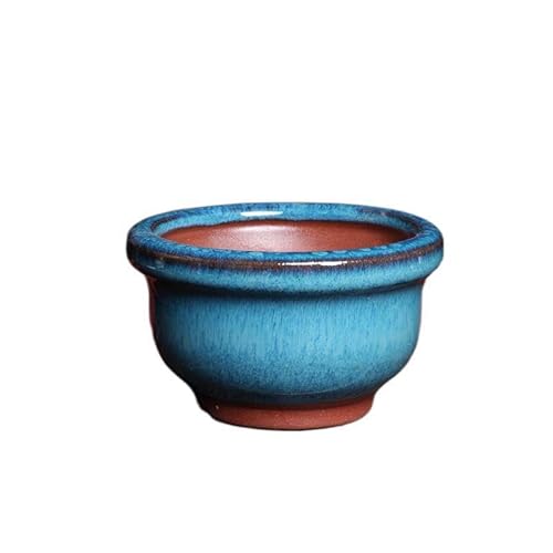 2 Stück Glasur Bonsai-Töpfe Keramik Modern Glasur Sukkulenten Pflanztopf mit Drainage Loch Vintage Bonsai Mini glasierte Töpfe Kaktus Blumenbehälter Schüssel Gartendekoration (7,8 x 4,8 cm) von Wensmy