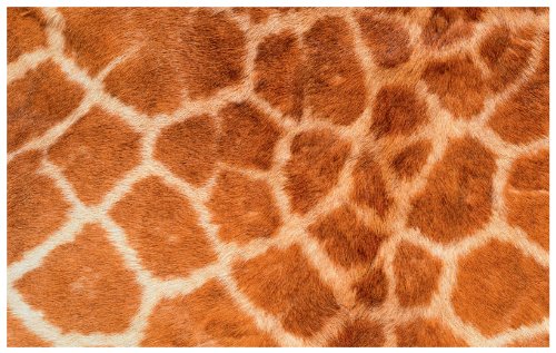 Wentronic 390 x 265 mm Giraffe Fell Universal Laptop Haut von Wentronic