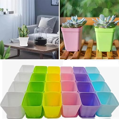 Wenxiaw 30 Stücke Pflanztöpfe Kunststoff, Quadratische Bunte Blumentöpfe Klein Blumentöpfe Plastik Pflanztöpfe mit Palette Pflanztöpfe für Büro 7cm Anzuchttöpfe Für Büro Balkon Dekoration (6 Farben) von Wenxiaw
