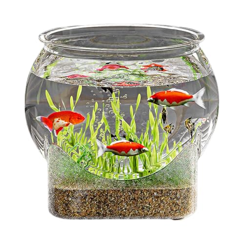 Weqizuerqi 19x19x16,6cm Fischschale Betta Fischaquarium Fischglas Desktop Aquarium Transparentes Aquariumschale 360 Grad Ansicht Verpassen Dekorativer Wassernapf Hauptstück In Blumenvase von Weqizuerqi