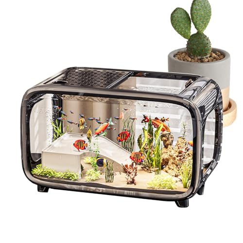 Weqizuerqi Desktop-Fischbecken – kleines Landschafts-Aquarium für Betta, transparentes Acryl, Wassertier-Behälter, Schale für Schnecken, Wasserpflanzen, Landschaft, Schildkröte, Betta- Weqizuerqi Desktop-Fischbecken – kleines Landschafts-Aquarium für Betta, transparentes Acryl, Wassertier-Behälter, Schale für Schnecken, Wasserpflanzen, Landschaft, Schildkröte, Betta- von Weqizuerqi