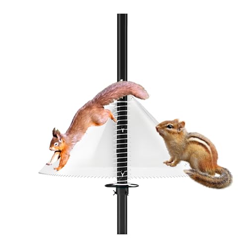 Weqizuerqi Eichhörnchen-Leitblech | Anti-Eichhörnchen-Gerät, Vogelfutterstation für den Außenbereich, für Park, Terrasse, Garten, Rasen, Hinterhof Weqizuerqi Eichhörnchen-Leitblech | Anti-Eichhörnchen-Gerät, Vogelfutterstation für den Außenbereich, für Park, Terrasse, Garten, Rasen, Hinterhof von Weqizuerqi