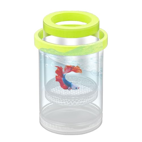 Weqizuerqi Fischzuchtbox schwimmend, Fischtank Züchterbox, Akklimatisierung Brutkasten für Guppy, Aquarium Inkubation Tank Weqizuerqi Fischzuchtbox schwimmend, Fischtank Züchterbox, Akklimatisierung Brutkasten für Guppy, Aquarium Inkubation Tank von Weqizuerqi