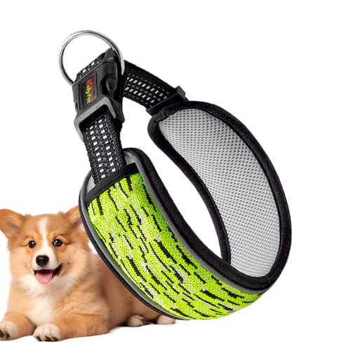 Weqizuerqi Gepolstertes Hundehalsband, verbreitert, strapazierfähig, mit Polster, für drinnen und draußen, reflektierend, für kleine, mittelgroße und große Hunde für Training, Weqizuerqi Gepolstertes Hundehalsband, verbreitert, strapazierfähig, mit Polster, für drinnen und draußen, reflektierend, für kleine, mittelgroße und große Hunde für Training, von Weqizuerqi