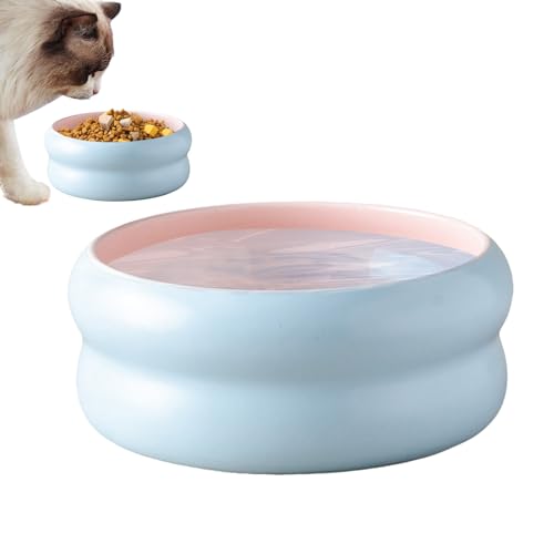 Weqizuerqi Hundenapf, Keramik-Trinknapf für Katzen, mikrowellengeeignet, für Kätzchen, Welpen, Wasserfutter, täglich, drinnen und draußen von Weqizuerqi
