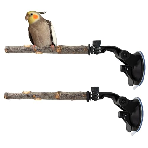 Weqizuerqi Vogelsitzstange – Holzspielzeug Trainingsständer – Holz-Sittich-Sitzstangen | Für Außenwohnung, Terrasse, , Baum, Dusche, Wandspiegel von Weqizuerqi