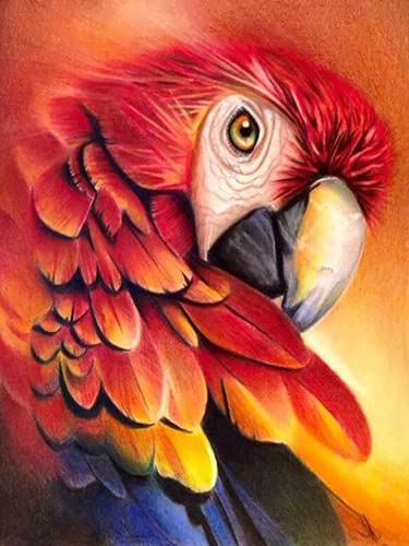 Wergund Diamond Painting Papagei Vogel, Diamant Painting Bilder Tiere, DIY Cross Stickerei Malerei Kits,Wohnzimmer Schlafzimmer Büro Wand Und Eingang Dekoration-30x40cm von Wergund