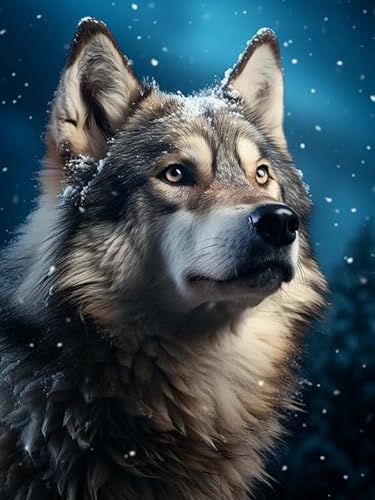 Wergund Diamond Painting Wolf, Diamant Painting Bilder Tier, DIY Cross Stickerei Malerei Kits,Wohnzimmer Schlafzimmer Büro Wand Und Eingang Dekoration（30x40cm）-70 von Wergund