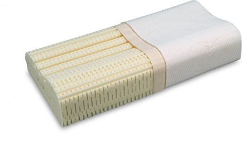 Werkmeister KL 14 - Latex-Nackenstützkissen - 32 x 65 x 14 cm - waschbar bis 60°C - anschmiegsam atmungsaktiv stützend Werkmeister KL 14 - Latex-Nackenstützkissen - 32 x 65 x 14 cm - waschbar bis 60°C - anschmiegsam atmungsaktiv stützend von DXQ