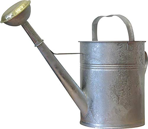 Gießkanne 10 l Blech von WerkzeugHERO