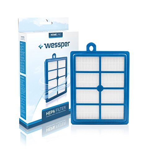 Wessper® HEPA-filter Für AEG ELECTROLUX Airmax/Boldio/ErgoSpace/Excellio/Mondo Plus/Oxygen/Praxio/Powersystem PHILIPS Expression/Impact/Jewel/Performer (EFH13W, EFH12W, 9002564053) von Wessper