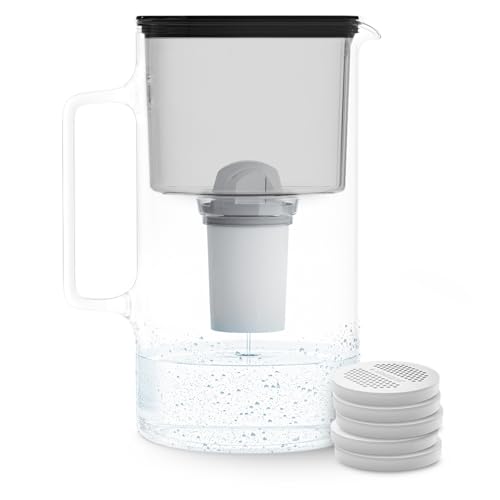Wessper Satz Wasserfilterkanne aus Glas 2.5 L | Ersatz für Aquaphor Standard, Brita Classic, Dafi Classic Filterkartusche | 5x Filter Disc Replacement und 1x Kartusche AquaClassic | Schwarz Wessper Satz Wasserfilterkanne aus Glas 2.5 L | Ersatz für Aquaphor Standard, Brita Classic, Dafi Classic Filterkartusche | 5x Filter Disc Replacement und 1x Kartusche AquaClassic | Schwarz von Wessper