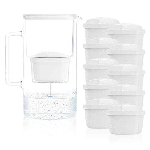Wessper Wasserfilter Kanne Glas 2,5L, Set Wasserkanne und 10 Filterkartuschen, Kompatibel mit Brita Maxtra, Wasserkaraffe für Trinkwasser mit Ersatz Filter - Weiß von Wessper
