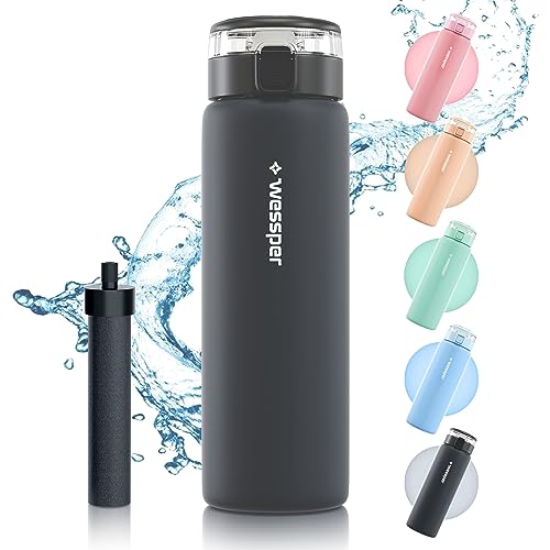 Wessper Wasserfilterflasche, Trinkflasche aus Borosilikat Glas 680 ml, BPA Frei Wasserflasche mit Filter für Kohlensäurehaltige Getränke | Filterflasche Outdoor, Aktivkohle Filter Strohhalm - Graphit von Wessper