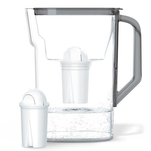 Wessper Wasserfilterkanne 2.7 L Kompatibel mit Brita Classic für Kühlschranktür | Wasser Filtersystem zur Reduzierung von Kalk, Chlor | Wasserfilterkanne + Wasserfilter AQUACLASSIC - Schwarz Wessper Wasserfilterkanne 2.7 L Kompatibel mit Brita Classic für Kühlschranktür | Wasser Filtersystem zur Reduzierung von Kalk, Chlor | Wasserfilterkanne + Wasserfilter AQUACLASSIC - Schwarz von Wessper