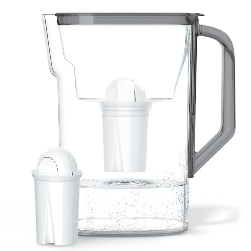 Wessper Wasserfilterkanne 2.7 L Kompatibel mit Brita Classic für Kühlschranktür | Wasser Filtersystem zur Reduzierung von Kalk, Chlor | Wasserfilterkanne + Wasserfilter AQUACLASSIC - Schwarz von Wessper