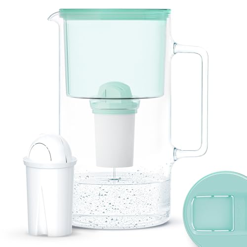 Wessper Wasserfilterkanne Aus Glas 2.5 L Kompatibel Mit Brita Classic-wasserfilterkartuschen | Inklusive 1 Wasserfilter-kartusche, Reduziert Kalk Und Chlor, Minze Wessper Wasserfilterkanne Aus Glas 2.5 L Kompatibel Mit Brita Classic-wasserfilterkartuschen | Inklusive 1 Wasserfilter-kartusche, Reduziert Kalk Und Chlor, Minze von Wessper