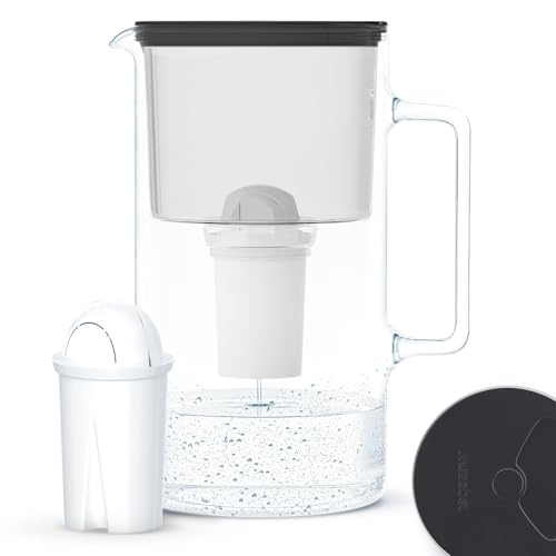 Wessper Wasserfilterkanne Aus Glas 2.5 L Kompatibel Mit Brita Classic-wasserfilterkartuschen | Inklusive 1 Wasserfilter-kartusche, Reduziert Kalk Und Chlor, Schwarz von Wessper