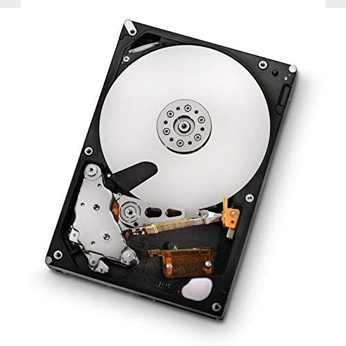 HGST Ultrastar HUS723030ALS640 Festplatte (3 TB, 7.200 U/min, SAS, 6 Gbit/s, 8,9 cm (3,5 Zoll), 64 MB Cache) von WD