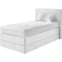 Westfalia Schlafkomfort Boxspringbett, wahlweise mit Kaltschaum-Topper und versch. Matratzenarten/Härtegraden Westfalia Schlafkomfort Boxspringbett, wahlweise mit Kaltschaum-Topper und versch. Matratzenarten/Härtegraden von Westfalia Schlafkomfort
