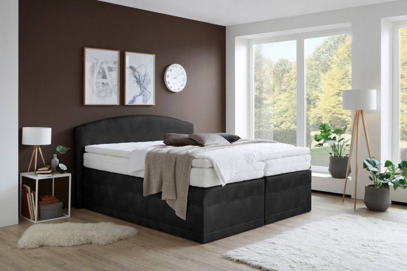 Westfalia Schlafkomfort Boxspringbett Madeira in verschiedenen Härtegraden und Größen Westfalia Schlafkomfort Boxspringbett Madeira in verschiedenen Härtegraden und Größen von Westfalia Schlafkomfort