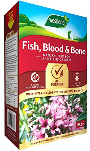 Westland 20600099 Fish, Blood and Bone Allzweck-Pflanzenfutter, 4 kg, Natur von Westland