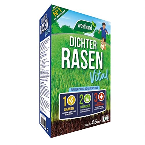 Westland Dichter Rasen Vital, 3 kg, 85 m² – Rasendünger mit Rasensamen für üppiges und dichtes Grün, Rasen-Granulat, beugt Verbrennungen vor von Westland