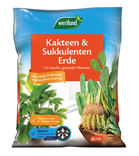 Westland Kakteen & Sukkulenten Erde, 4 l – Kakteenerde für gesunde Pflanzen, Erde mit Tongranulat zur optimalen Wasser- und Nährstoffverteilung von Westland