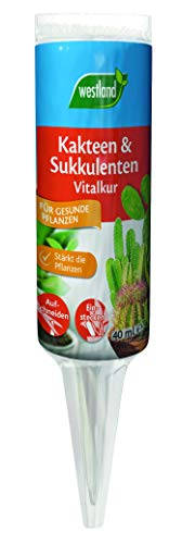 Westland Kakteen & Sukkulenten Vitalkur, 40 ml – Pflanzendünger für gesundes Wachstum, gebrauchsfertiger Flüssigdünger für einen Monat von Westland