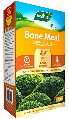 Westland Knochenmehl Root Builder, 1,5 kg Westland Knochenmehl Root Builder, 1,5 kg von Westland