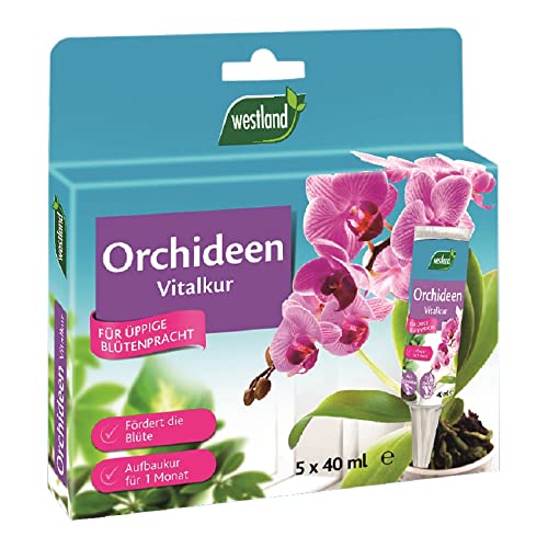 Westland Orchideen Vitalkur, 5x 40 ml – Pflanzendünger für gesundes Wachstum und Blüte, gebrauchsfertiger Flüssigdünger von Westland