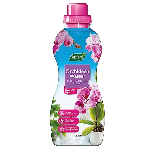 Westland Orchideen Wasser, 750 ml – Pflanzendünger für gesundes Wachstum, Flüssigdünger mit praktischer Dosierhilfe, Gießen und Düngen in Einem von Westland