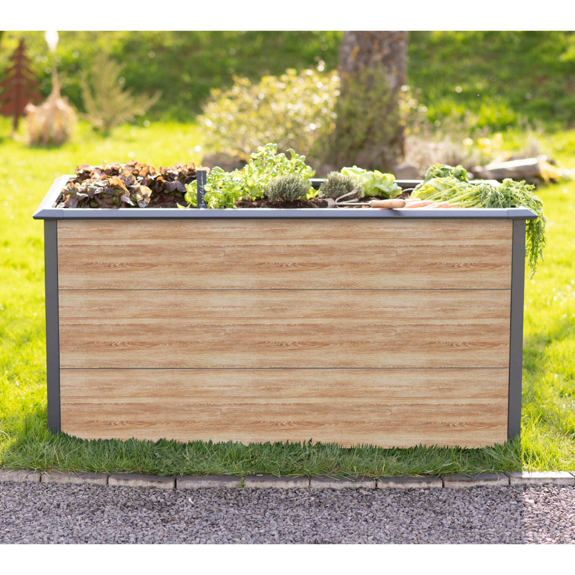 Westmann Hochbeet 'Primus-Multi L' naturbelassen 150 x 77 x 75 cm Westmann Hochbeet 'Primus-Multi L' naturbelassen 150 x 77 x 75 cm von Westmann