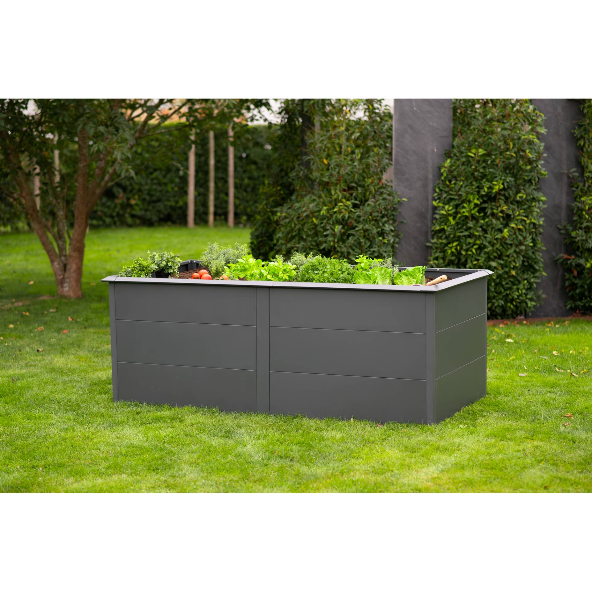 Westmann Hochbeet 'Primus XL' anthrazit 200 x 77 x 100 cm Westmann Hochbeet 'Primus XL' anthrazit 200 x 77 x 100 cm von Westmann