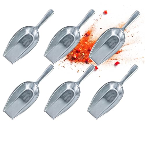 Westmark Gewürzschaufeln Hygia – 6 praktische Mini-Schaufeln zum sauberen Dosieren von trockenen Zutaten wie Tee und Gewürzen oder Tierfutter und Süßigkeiten – 6 ml von Westmark
