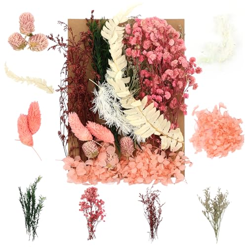 Trockenblumen,Natürliche Gemischte Getrocknete Blumen,Trockenblumen Zum Basteln,Trockenblumen Klein für DIY Epoxidharz Scrapbook Zubehör Handwerk Karten Machen (Rosa-Grün) von Weysoo