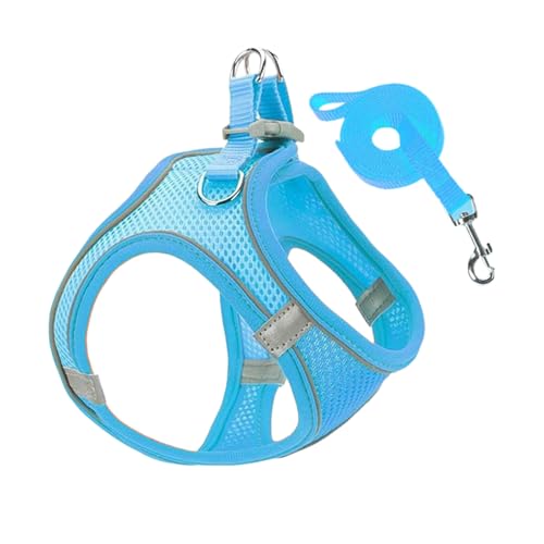 Wezalget Hundegeschirr Und Leinen Set - Mesh Geschirr Und Leinen Für Hunde Kombiniertes Set - Atmungsaktives Anti-Flucht-Geschirr Für Welpen Katzen Ideal Zum Wandern Camping Wezalget Hundegeschirr Und Leinen Set - Mesh Geschirr Und Leinen Für Hunde Kombiniertes Set - Atmungsaktives Anti-Flucht-Geschirr Für Welpen Katzen Ideal Zum Wandern Camping von Wezalget